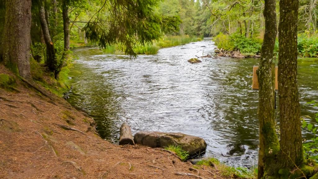 Michael Schnidt: Nahe Ettaks Strömmar